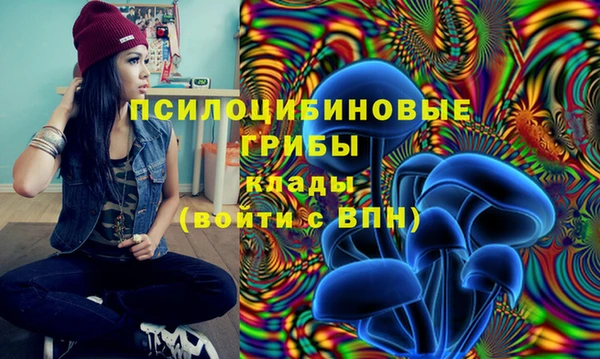 марки nbome Белокуриха