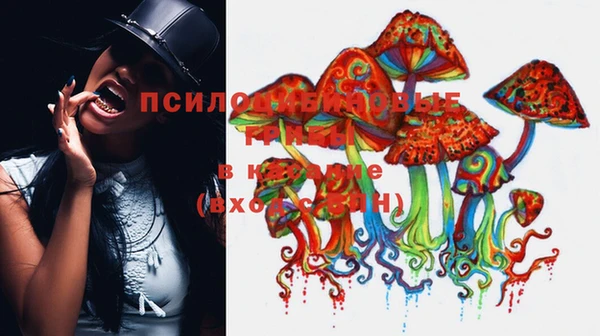 трава Белоозёрский