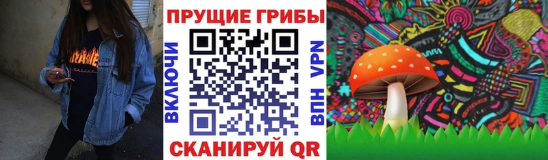МЕГА   магазин продажи наркотиков  Вельск  Галлюциногенные грибы прущие грибы 